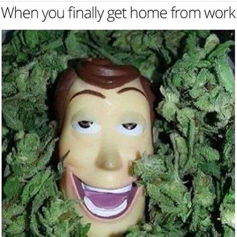 Finally Home Funny Weed Memes Weed Memes
