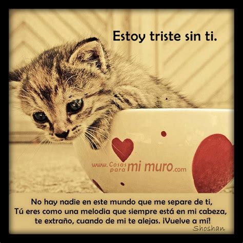 Frases De Te Extraño En Imagen De Tiernos Gatitos Para Regalar A Tu