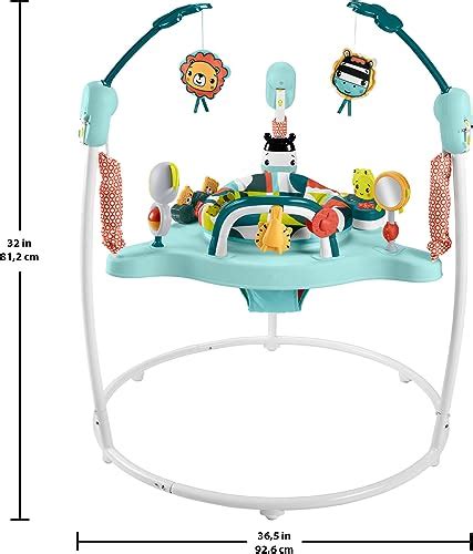 Fisher Price Baby Bouncer Jumperoo Activity Center Scholastic Panda