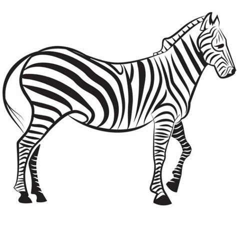 Zebra Stripes Vector Clipart Best