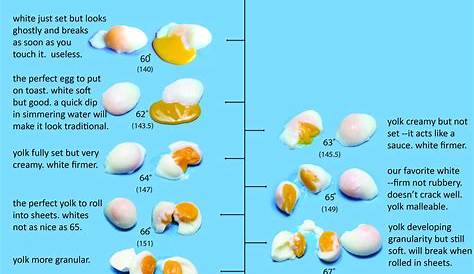 There's more than one way to cook an egg. Dave Arnold has 11 | Cooking