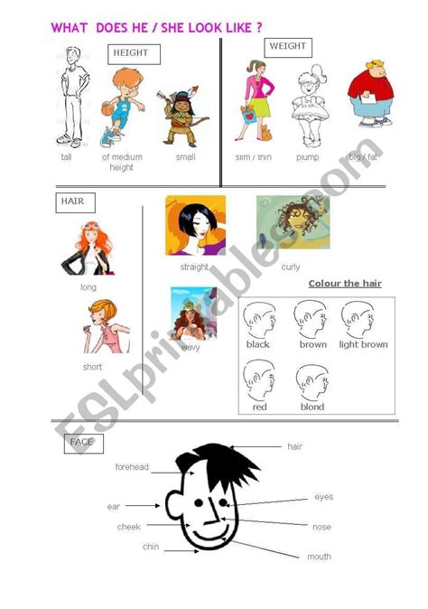 What Does He Look Like Esl Worksheet By Minie Vocabulary
