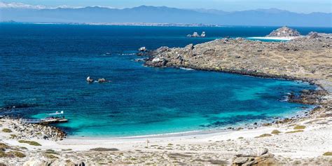 La señora que limpia mi casa: Isla Damas La Serena | Como llegar, tours, tarifas & horarios