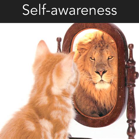 What Is Self Awareness And Why Is It Important Lewisville Tx