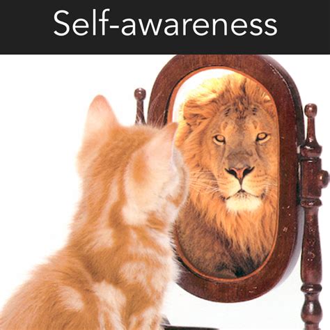 Self-Awareness – The key to unlocking everything - Stephen Pitcher
