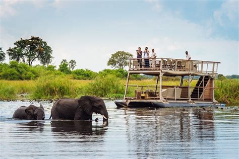 Botswana Travel Guide Everything You Need To Know Botswana Travel Cool Places To Visit
