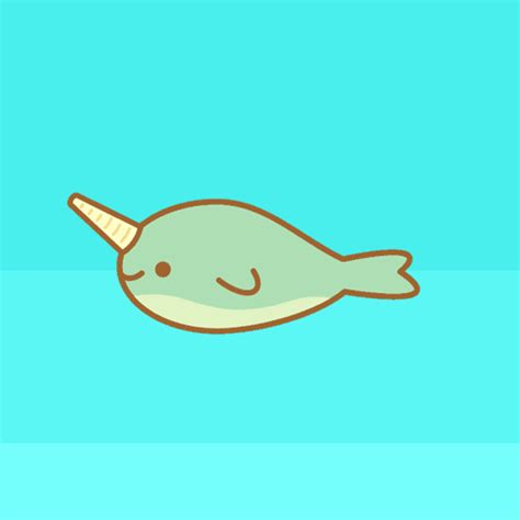 Pin On Narwhal