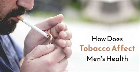 how does tobacco affect men s health humans