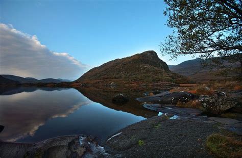 Do you represent eagle's nest? White Tailed Eagle Watching - Killarney