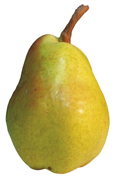 Pear Png Image Pngpix
