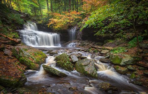 Wallpaper Autumn Forest Leaves Trees River Stones Waterfall Pa