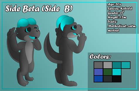 Side B Reference Sheet Bare By By Chu By Side B On Itaku