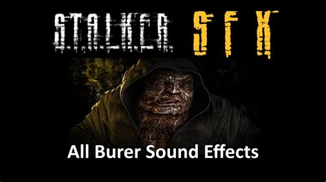 Stalker Call Of Pripyat Sfx All Burer Sound Effects Youtube