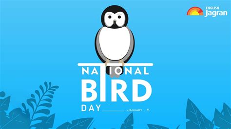 National Birds Day Date History Significance Celebrations And More