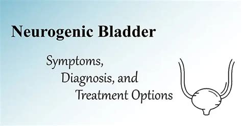 Neurogenic Bladder Explained Causes And Management Personally Delivered Blog