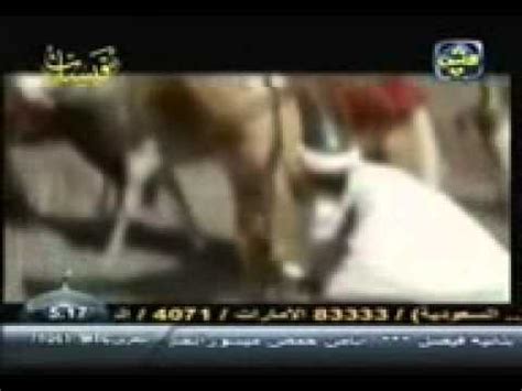 تناثرت الأقاويل على مواقع الإنترنت حول حقيقة وفاة الشيخ محمد حسان، الداعية وعانى الشيخ محمد حسان لسنوات طوال من مرض الكلى، احتجز على إثرها في المستشفيات لعدة مرات. ‫وفاة الحبيب الشيخ محمد حسان‬‎ - YouTube