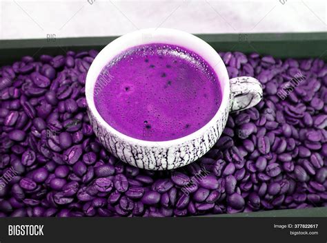 Cup Purple Coffee Image And Photo Free Trial Bigstock