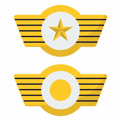 Airforce Badge Commander Wings Icon Download On Iconfinder