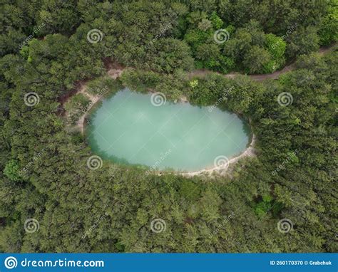 Aerial Lake In Forest Top Down View Aerial Flight Over Small Lake Of Oval Shape Moving Up