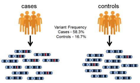 It means some people, will have one base at a certain position, in a sequence of bases, and other people will have a different base at that position. What are genome wide association studies (GWAS)? | EMBL ...