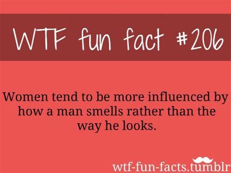 more of wtf fun facts are coming here funny and weird facts only i could believe this wtf fun