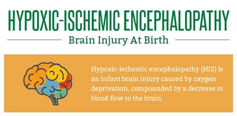Hypoxic Ischemic Encephalopathy Brain Injury At Birth Infographic