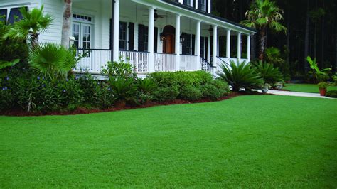How To Care For New Bermuda Grass Sod Sod University Sod Solutions