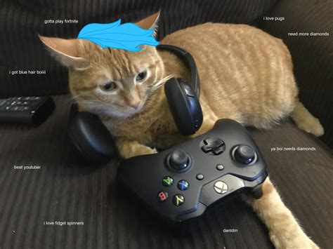Dantdm On An Xbox One Playing Fortnite Cats Cute Cute