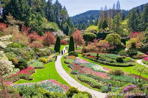 5 Best Gardens In Victoria Bc Visitor In Victoria