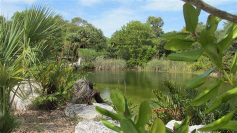 Key West Tropical Forest And Botanical Garden All You Need To Know