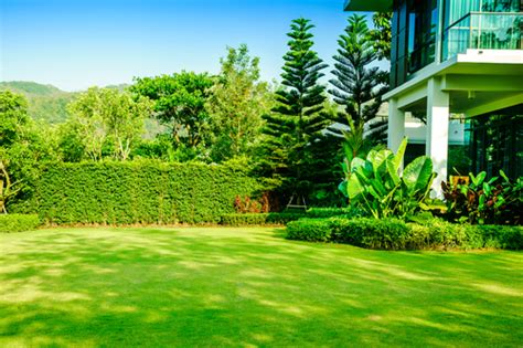 How To Choose The Right Landscaping Contractor Landscaping Sg