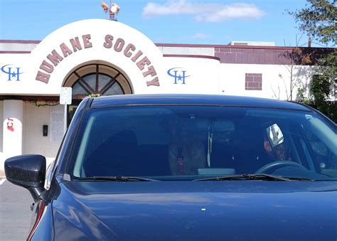 RGV Humane Society to open new animal shelter; calls for adoptions