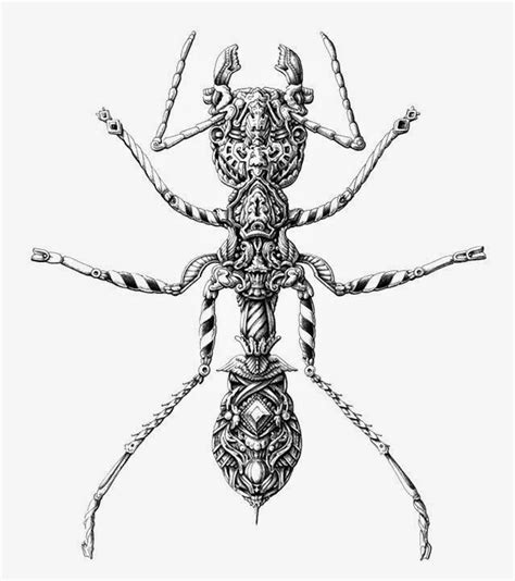Decorative Insect Drawing By Alex Konahin ~ Creative Art And Craft Ideas