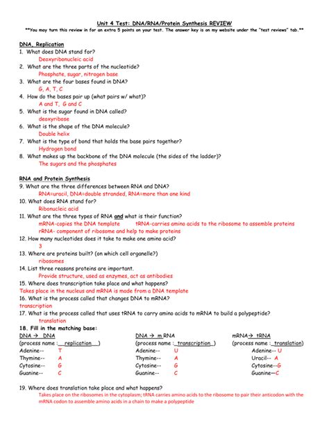 Dna, chromosomes and dna replication, rna and protein synthesis. Dna Replication And Protein Synthesis Worksheet Answer Key — excelguider.com