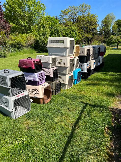 Pet Supplies for sale in Eugene, Oregon | Facebook Marketplace