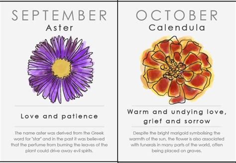 The birth flower for february is associated with faithfulness, truth and affection. Your birth month flower: countryliving.co.uk | Birth month ...