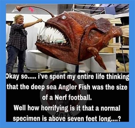 That The Deep Sea Angler Fish Was The Size Of A Nerf Football Well How