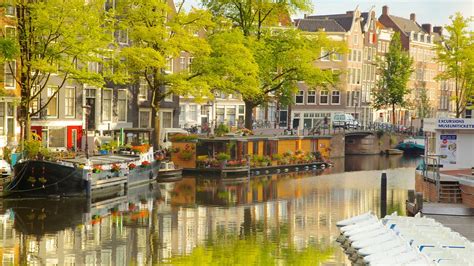 Only grocery stores and essential services will remain open. Netherlands Vacations 2017: Explore Cheap Vacation Packages | Expedia