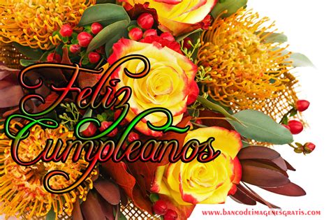 Banco De Imágenes Gratis Feliz Cumpleaños Con Rosas Y Orquídeas