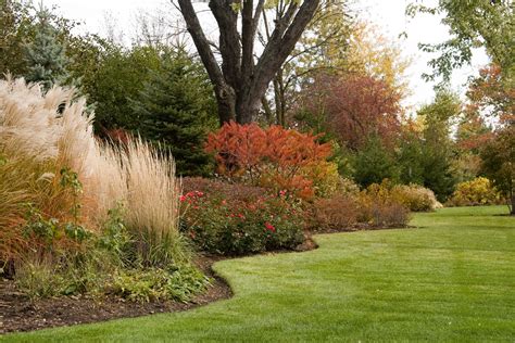 Include Perennial Grasses And Shrubs Will Amazing Fall Color For Year Round Landscape Interest