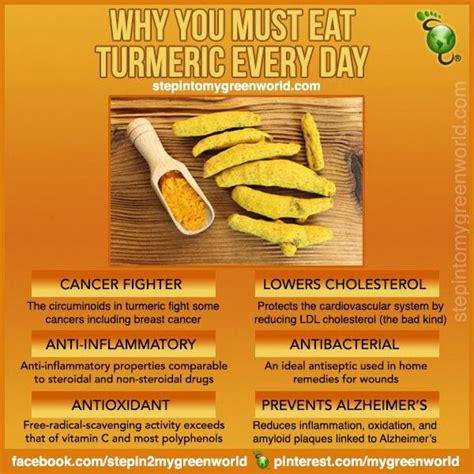 Make Sure You Are Getting Your Daily Dose Of Turmeric Health Info