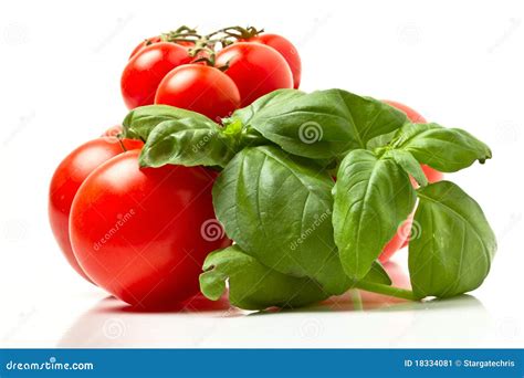 Tomatoes N Basil Stock Image Image Of Organic Edible 18334081
