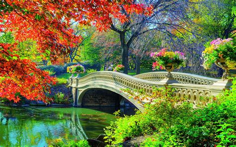 Central Park Bridge In Springtime Colors New York Trees Bow Bridge