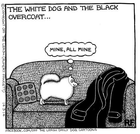 10 Hilarious Comics About Life With Dogs By Off The Leash Bored Panda