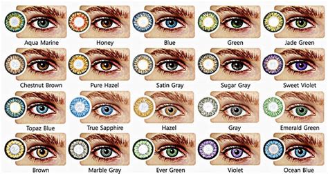 Hazel Eye Color Hex Code Img Abedabun D Eye Color Chart Genetics