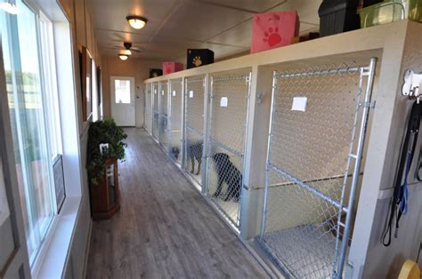Contact Us Dog Digs Canine Boarding Facility