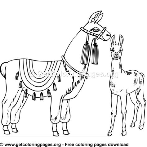 What you'll find on this page. Llama 5 Coloring Page | Animal coloring pages, Coloring ...