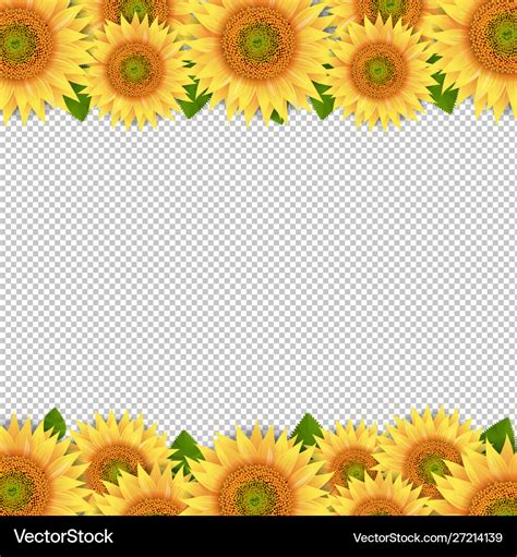 Sunflower Border Aesthetic
