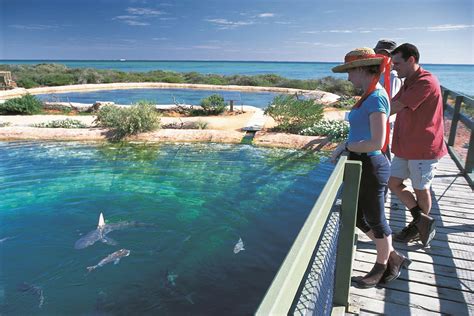 Attraction Tourism Western Australia