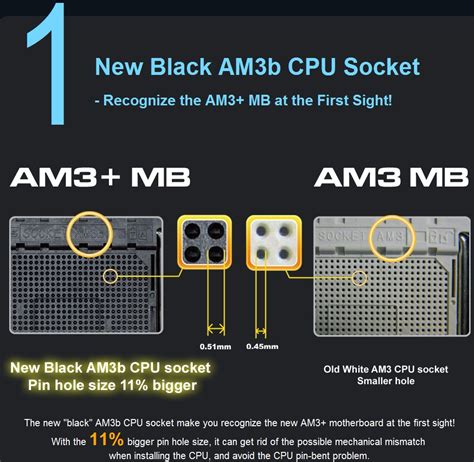 The best are the phenom ii x4 980 be and the phenom ii x6 1100t. 6 Facts About AMD's black AM3b socket: The AM3 vs AM3+ match